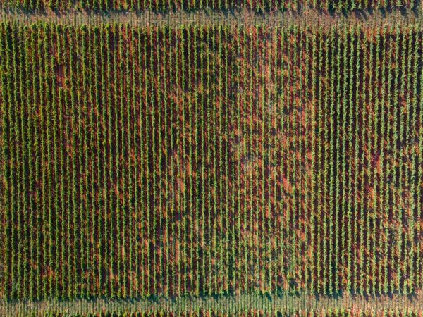 DJI_0904-2048x1152