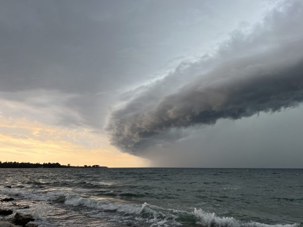 IMG_9948